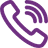 Call icon